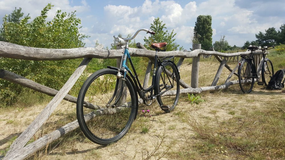 Oldtimer Fahrrad Diamant Damenfahrrad Modell 106
