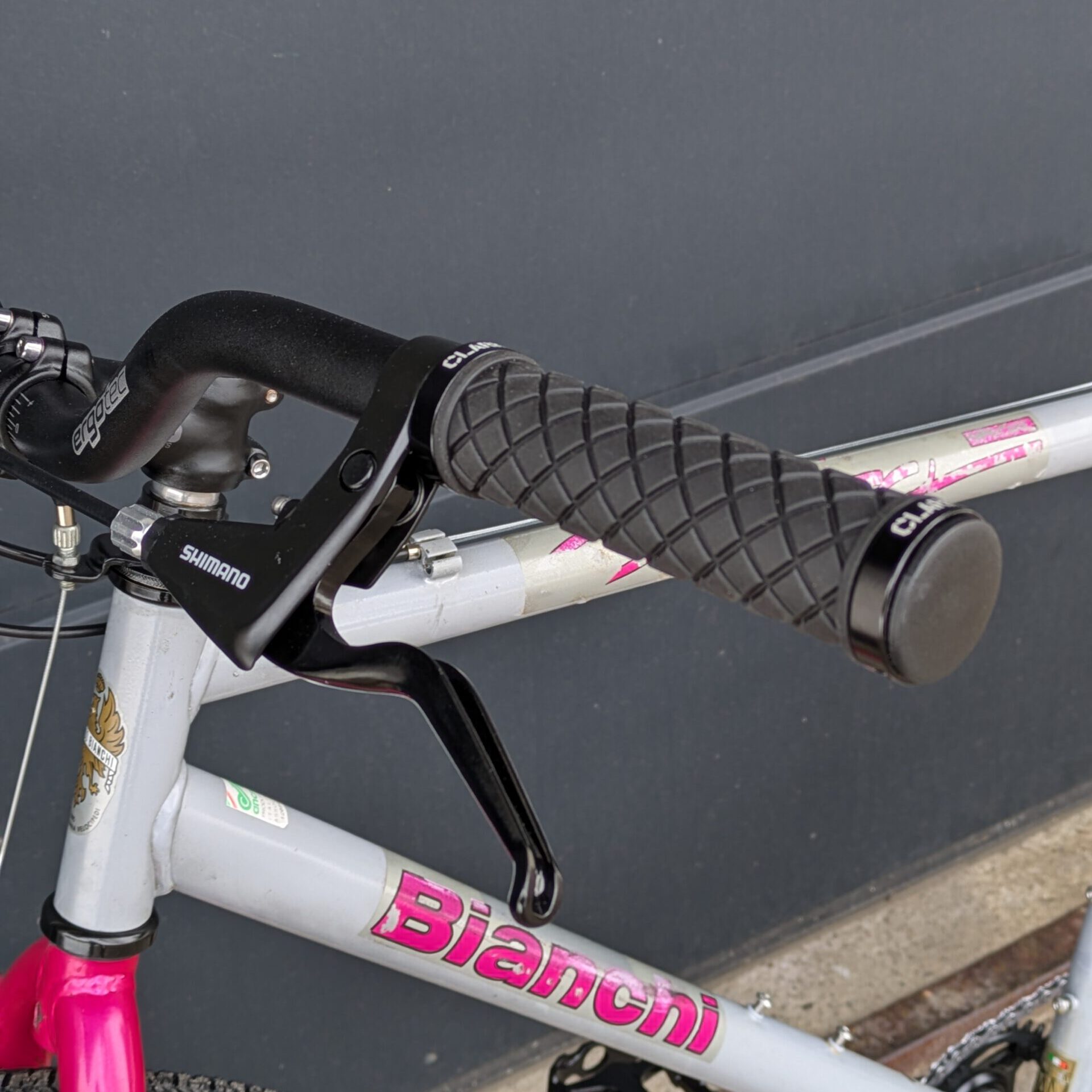 Bianchi Cobra Vintage Mountainbike Commuter